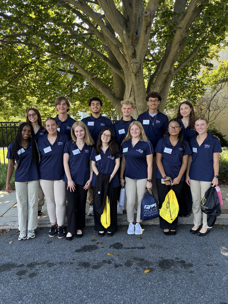 Group of students in navy blue shirts and pants standing under a tree on a street.