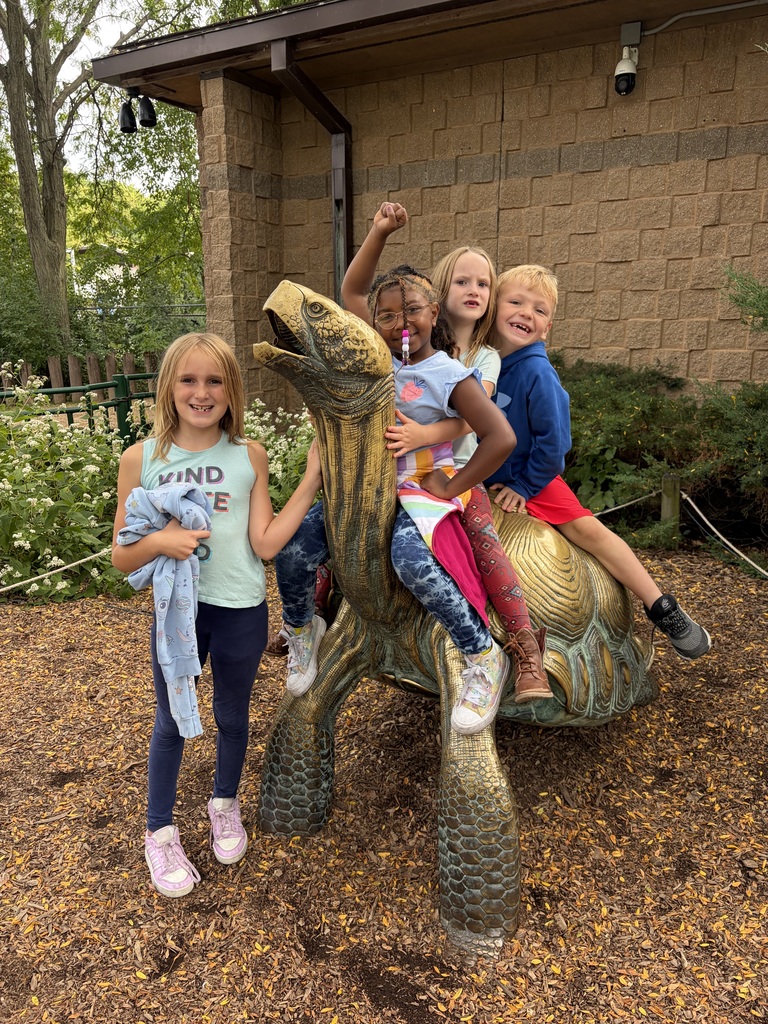 friends on turtle