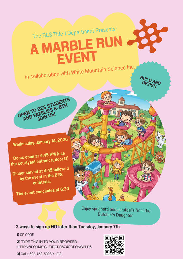 Flyer - WMSI Marble Run Event