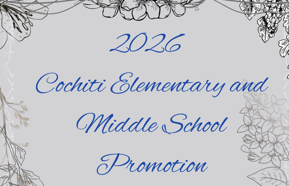 CEMS Promotion