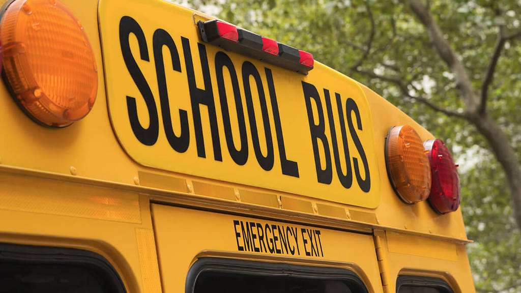 bus
