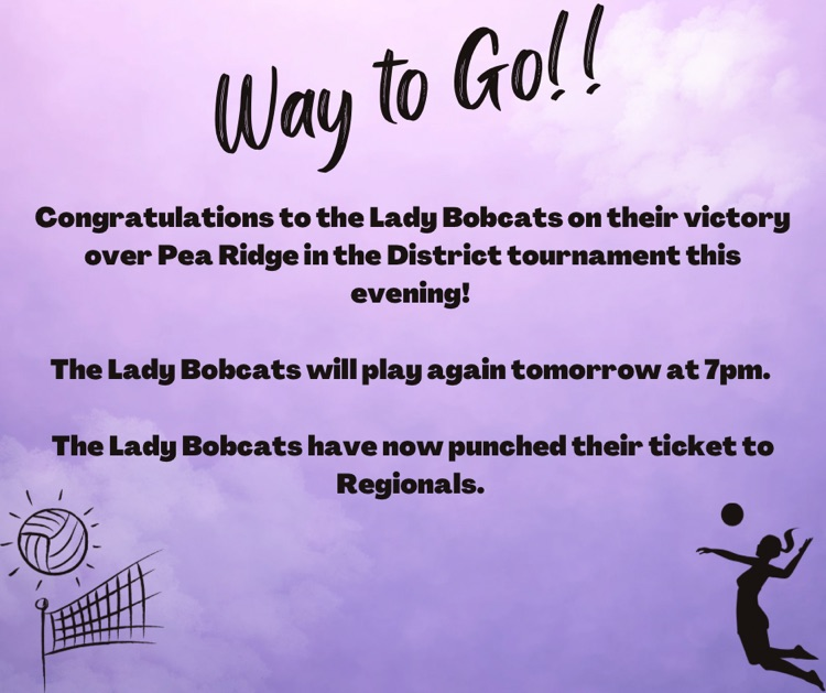 Lady Bobcats