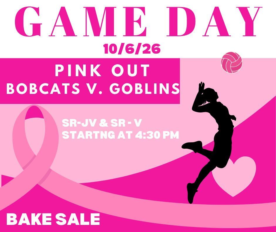 Volleyball Game Day