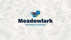 Meadowlark Visual