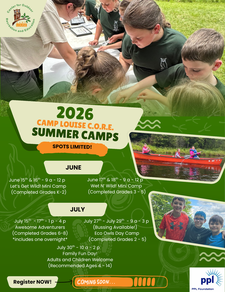 Camp Louise