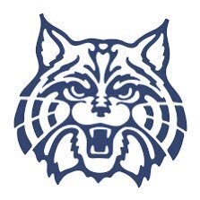 Wildcat