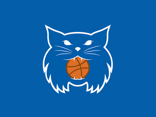 Wildcats basketball