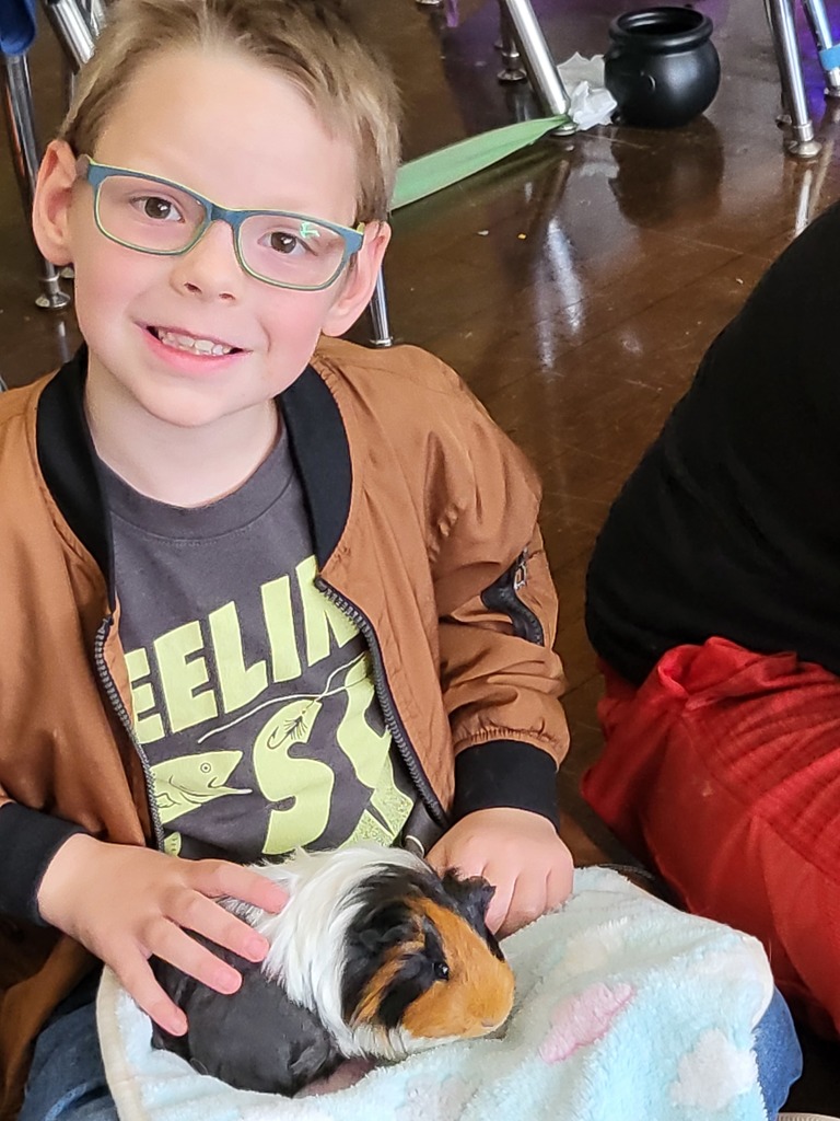Guinea Pig Fun