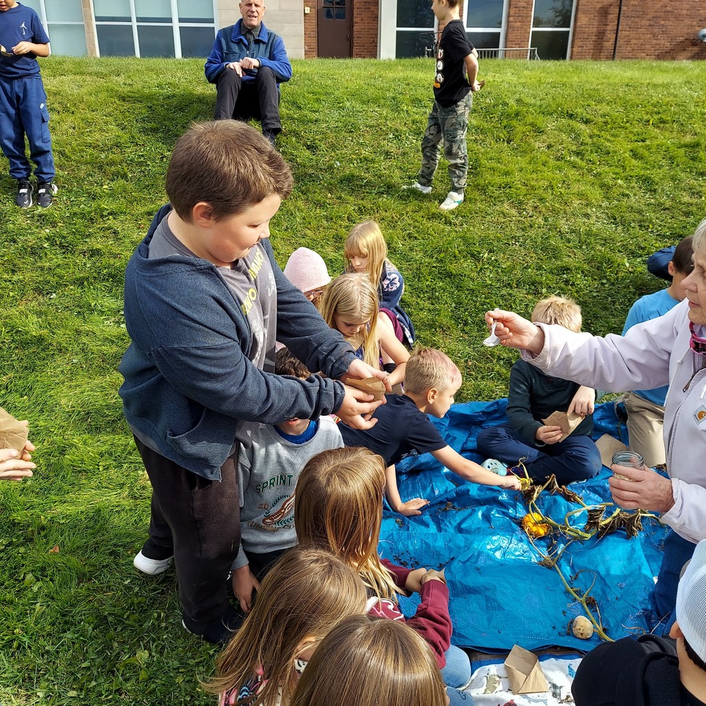 Students planting pumpkin seeds