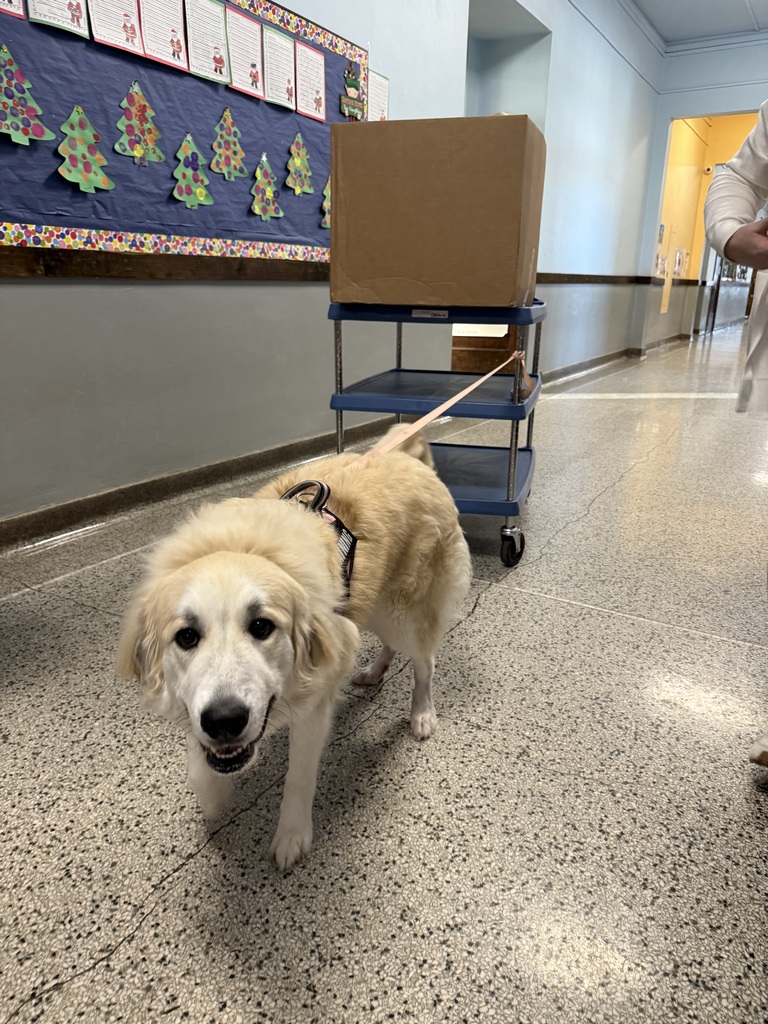 Skye and her Sleigh??