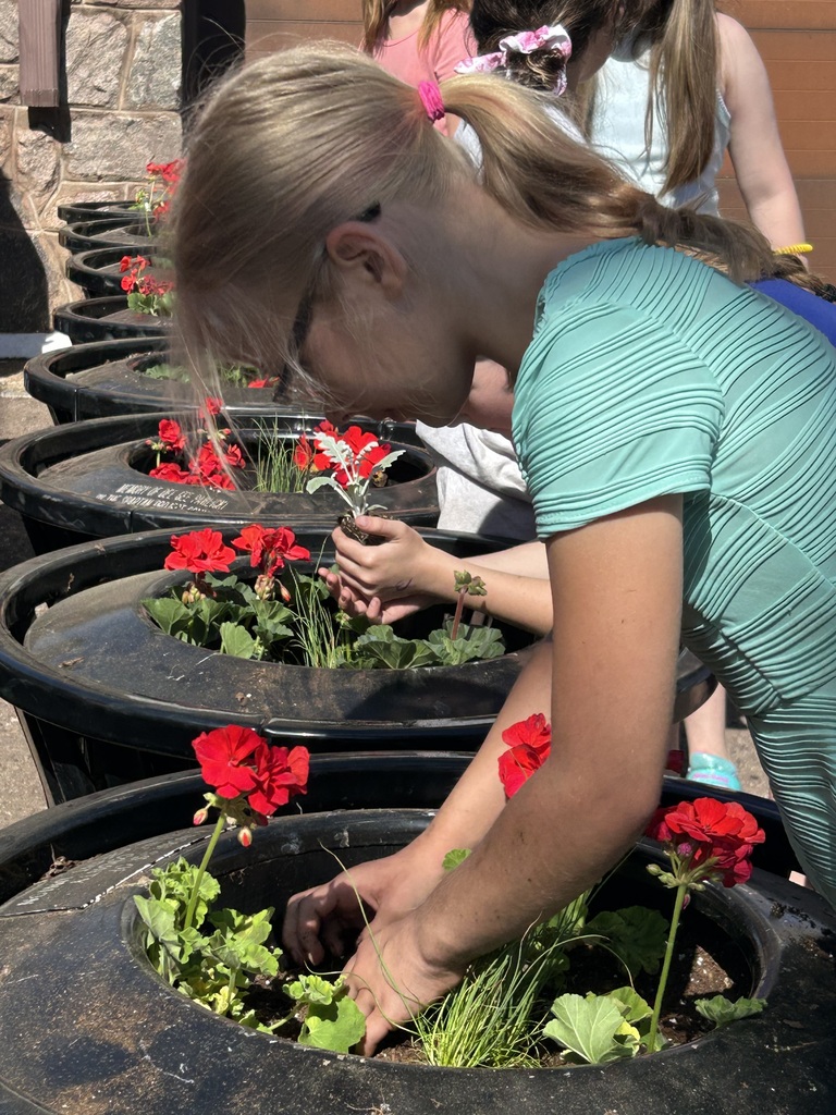 3rd grade plants flowers