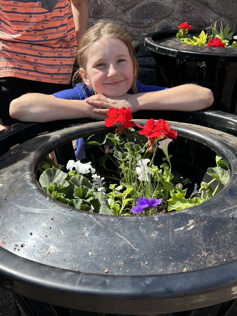 3rd grade plants flowers