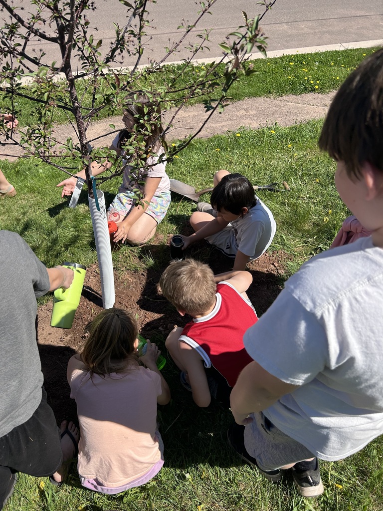 tree planting