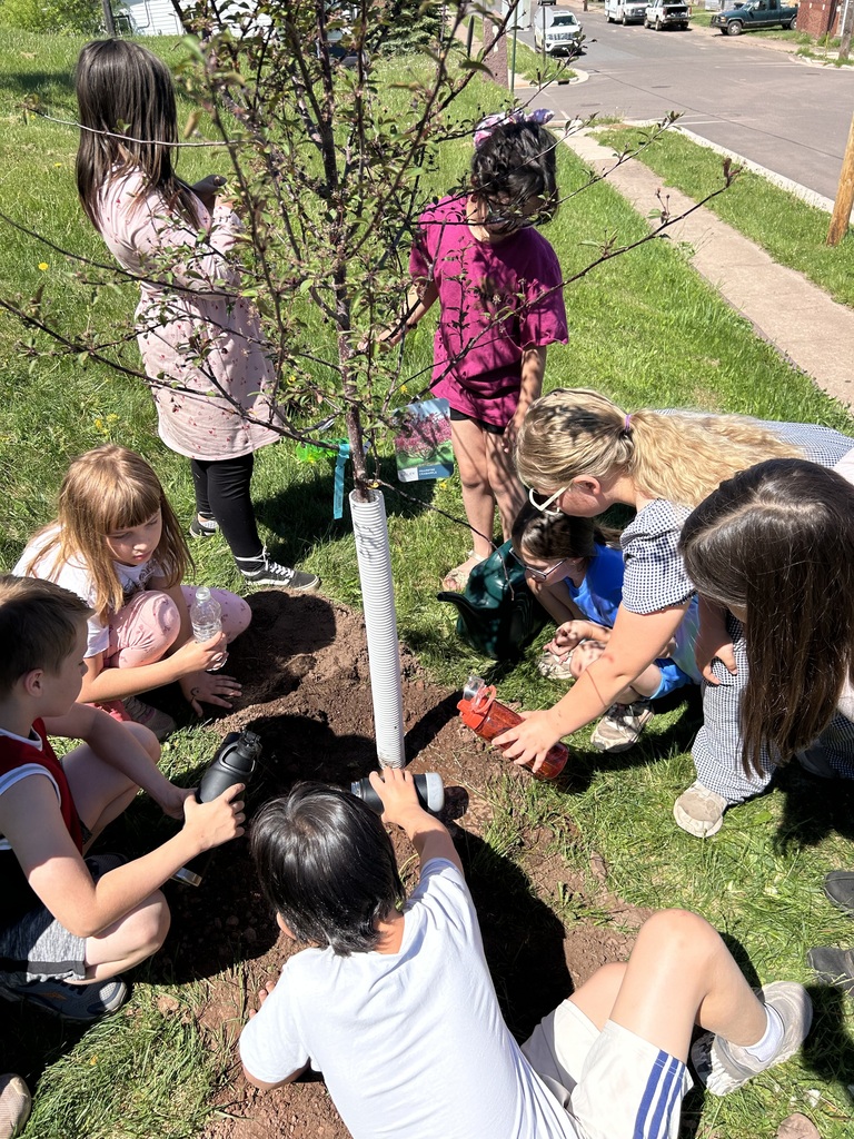 tree planting