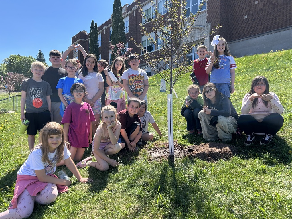 tree planting