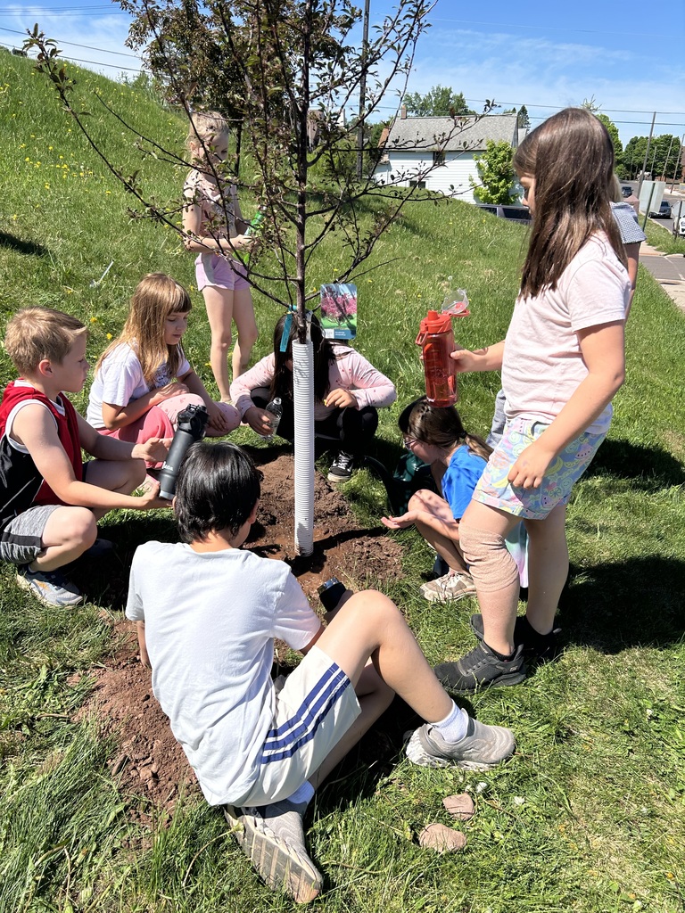 tree planting