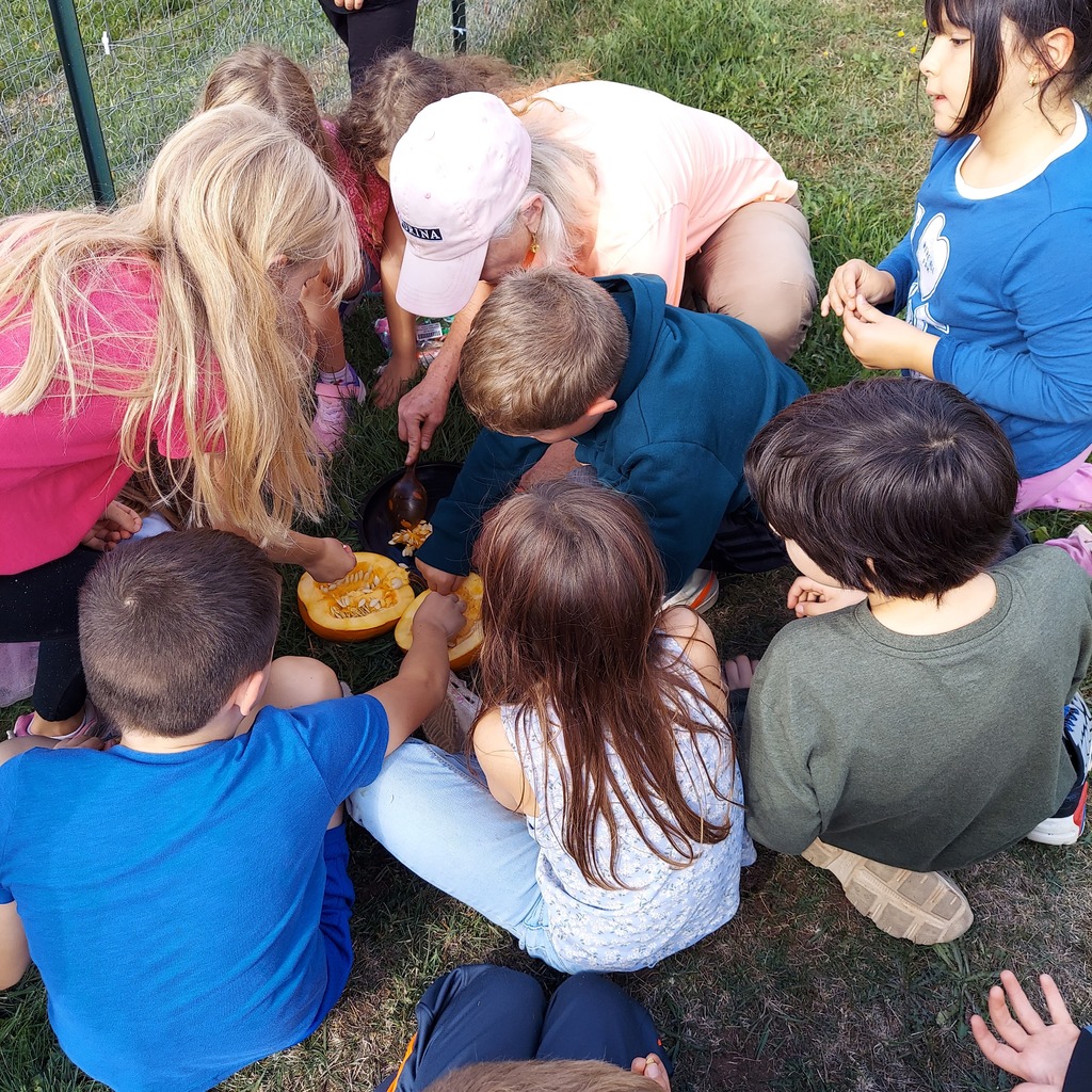 pumpkin picking