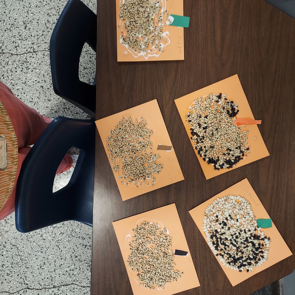 pumpkin seed craft