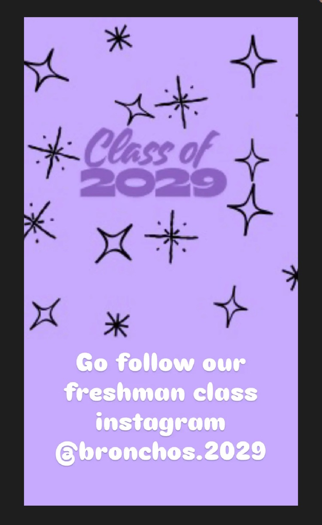 flyer to follow the freshman class Instagram