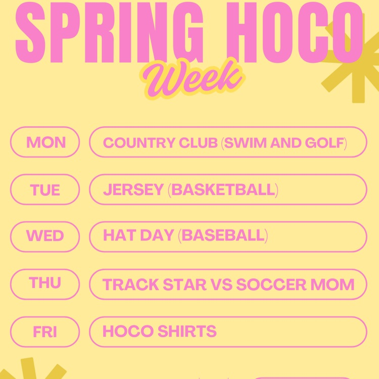 hoco dress up day