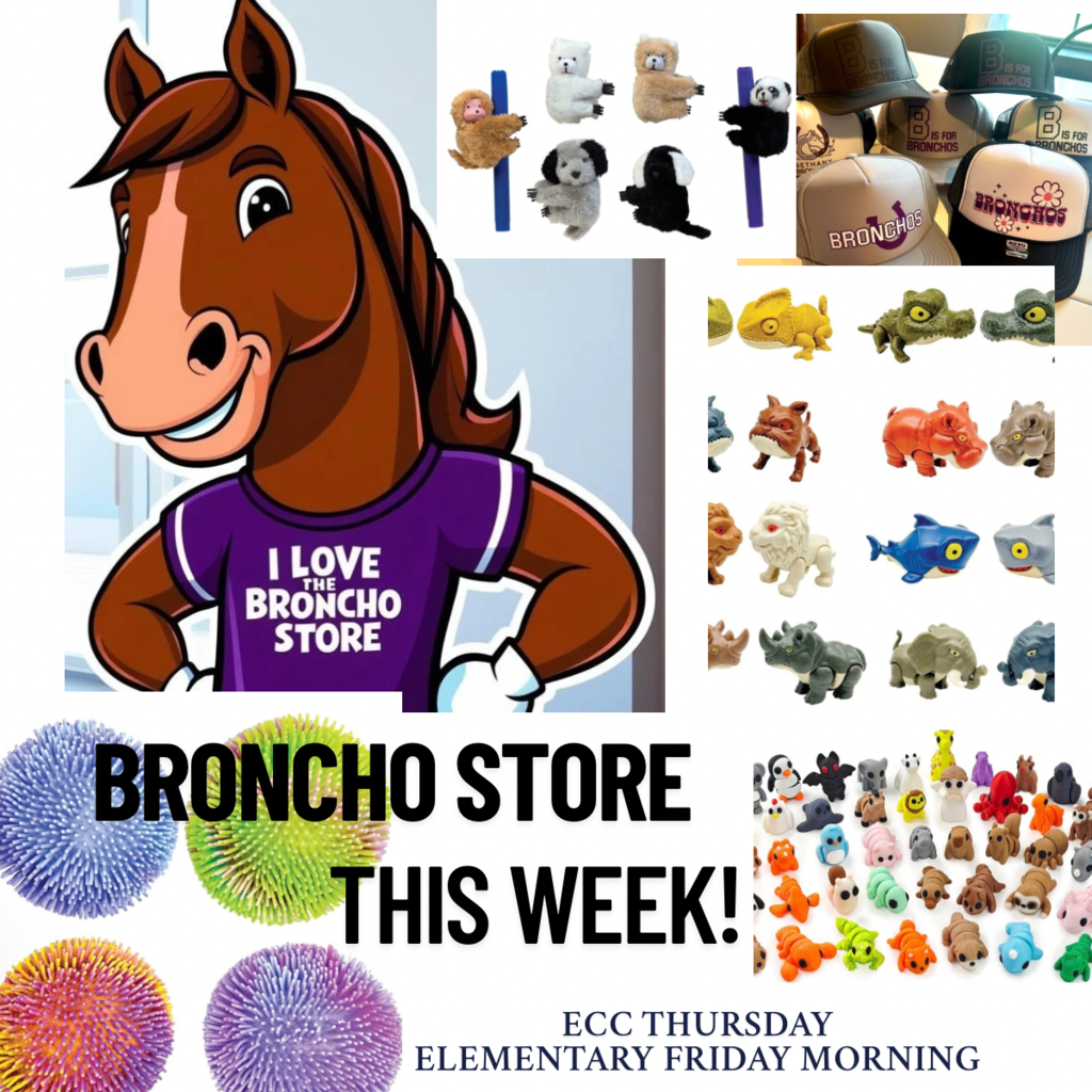 Broncho Store
