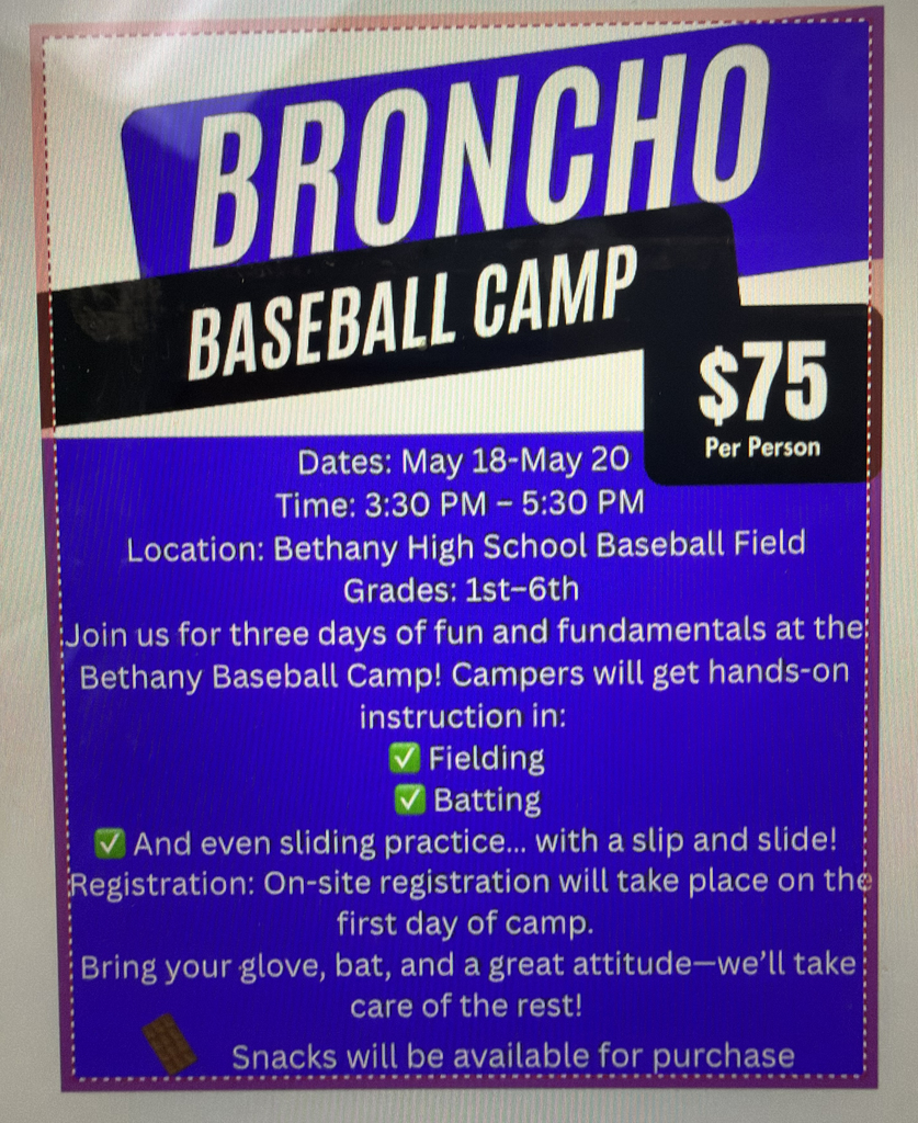 purple and white flyer promoting baseball camp grades 1-6