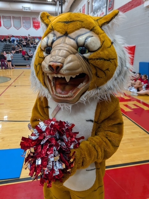 tiger mascot