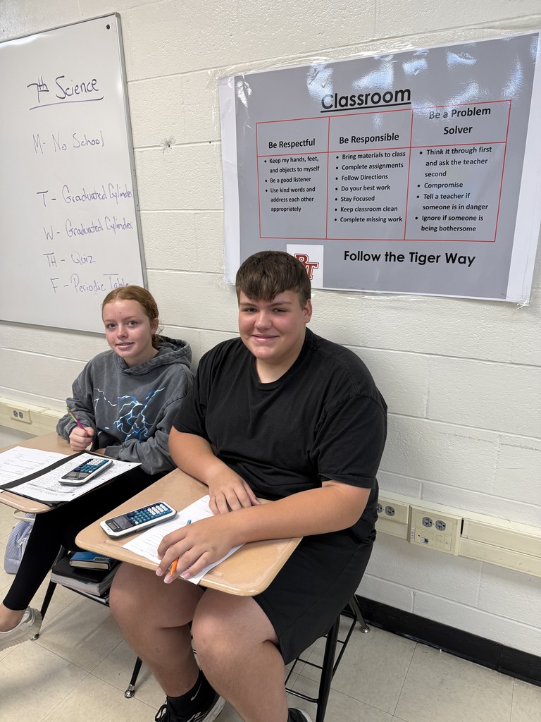 Algebra 1 doing a review partner work