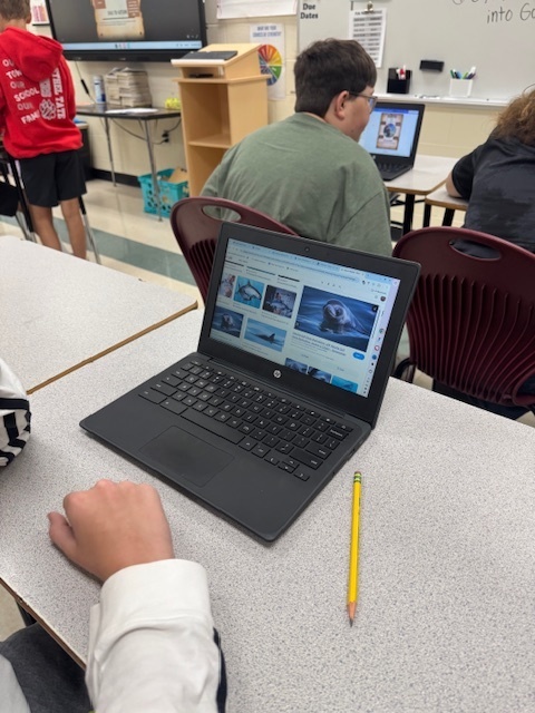 📚 Mrs. Starline’s Language Arts students combined reading and technology in a creative project! While reading Hoot, they used tools like Canva and SchoolAI to research and design posters raising awareness about endangered species. 💡🐢✨  