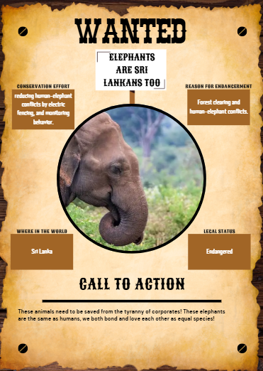 📚 Mrs. Starline’s Language Arts students combined reading and technology in a creative project! While reading Hoot, they used tools like Canva and SchoolAI to research and design posters raising awareness about endangered species. 💡🐢✨  