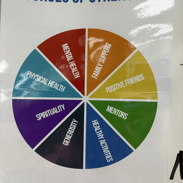Sixth graders introduction activity to the Sources of Strength program. 