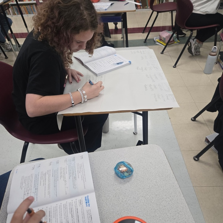 Students are reviewing vocabulary from Units 1–3 by creating their own categories based on themes and ideas from the novel they read, then sorting the words into those categories to make meaningful connections between the story and the vocabulary.
