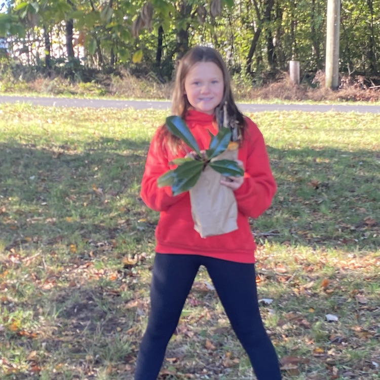 7th grade Art students collecting acorns and other nature items to create Acorn People for their next project.
