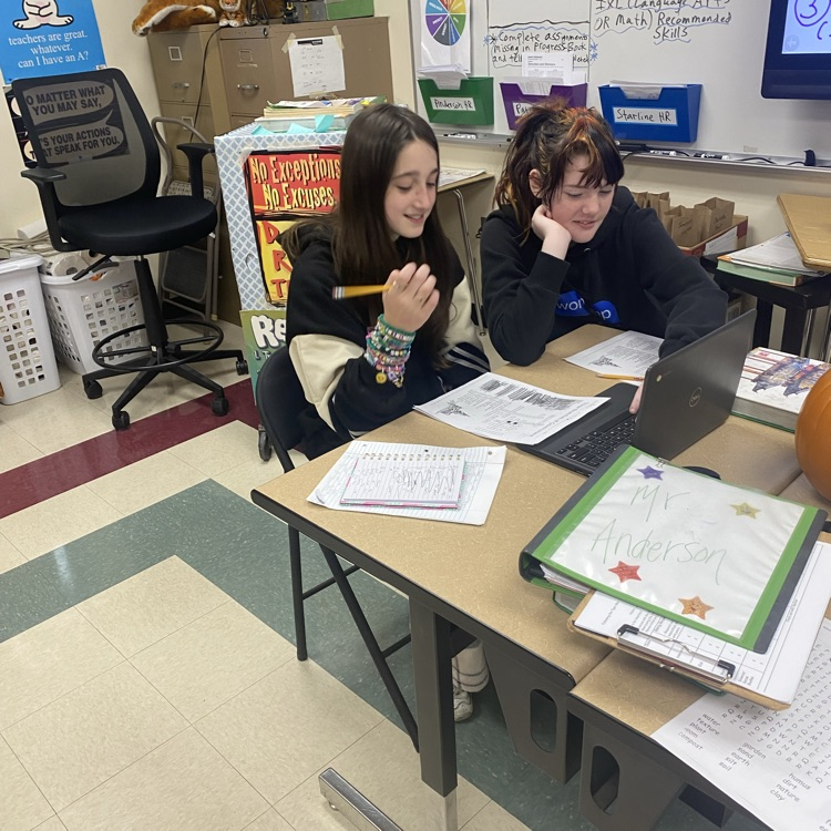 Students in Mrs. Patrick’s classroom are researching information about the three different branches of government.