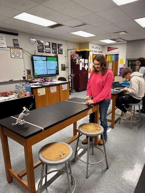 Newton’s Laws of Motion were recently put to the test by students in Mrs. Gasior's science classes. The students built and launched catapults to see physics in action. From design to launch, they explored how force, motion, and energy come together in a hands-on way. 