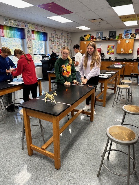 Newton’s Laws of Motion were recently put to the test by students in Mrs. Gasior's science classes. The students built and launched catapults to see physics in action. From design to launch, they explored how force, motion, and energy come together in a hands-on way. 