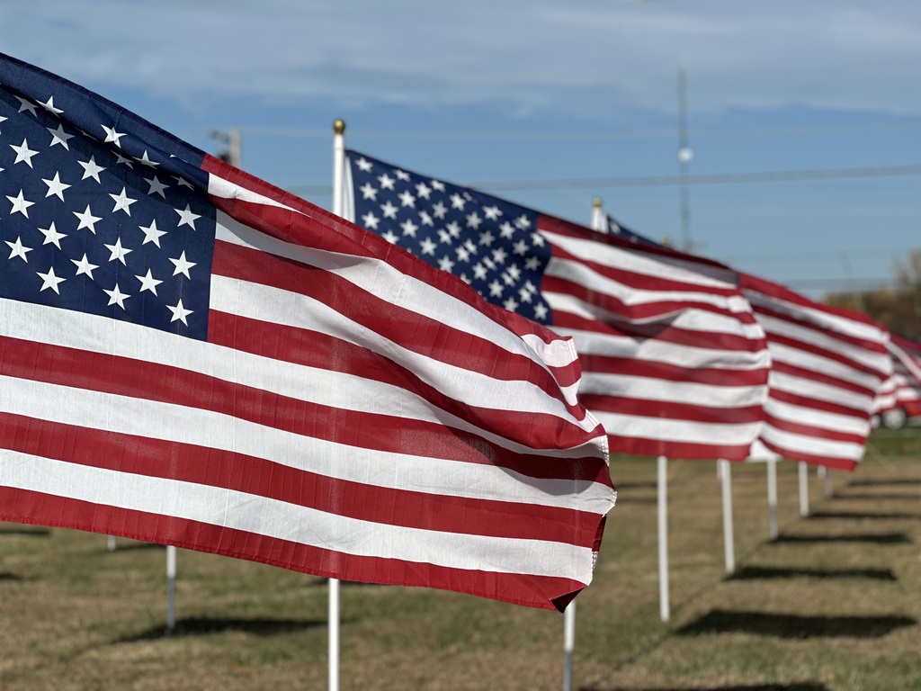 Students read the names through the flag field and honor our Veterans.