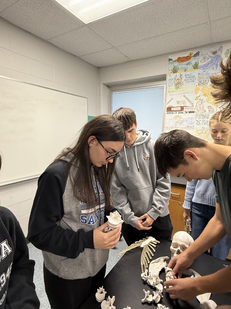 students working to assemble a skeleton