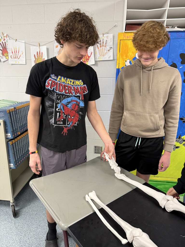 students working to assemble a skeleton