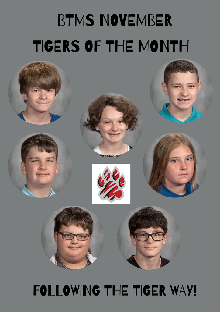 Tigers of the Month