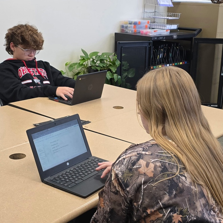 8th graders in Career Exploration are completing their reflection on the budget they created. Mrs. Harrison was pleased that every student was able to  make adjustments so their budget balanced or had a surplus. 