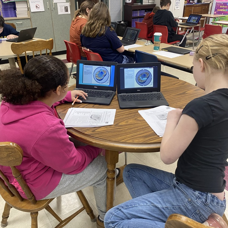 Students in Mrs. Patrick’s Science Class worked on a Cell Gizmo with a partner. 