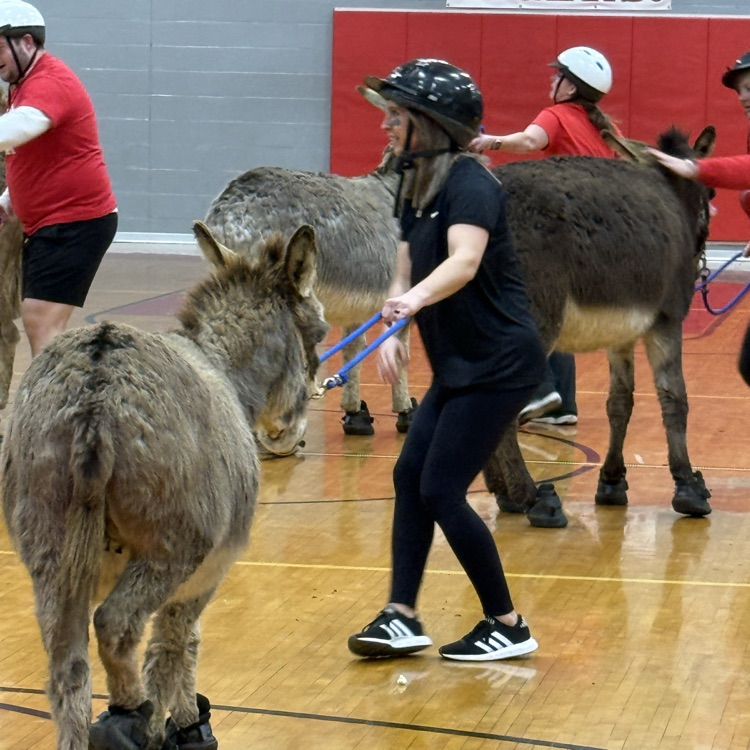A BIG thank you to everyone who participated, helped with, and came out to our Donkey Basketball event for a fundraiser for BTMS students! The "excitement" of a pipe bursting in the office setting off the fire alarm could not stop the fun for long!😁💦