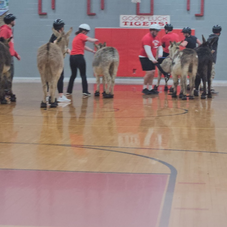 A BIG thank you to everyone who participated, helped with, and came out to our Donkey Basketball event for a fundraiser for BTMS students! The "excitement" of a pipe bursting in the office setting off the fire alarm could not stop the fun for long!😁💦