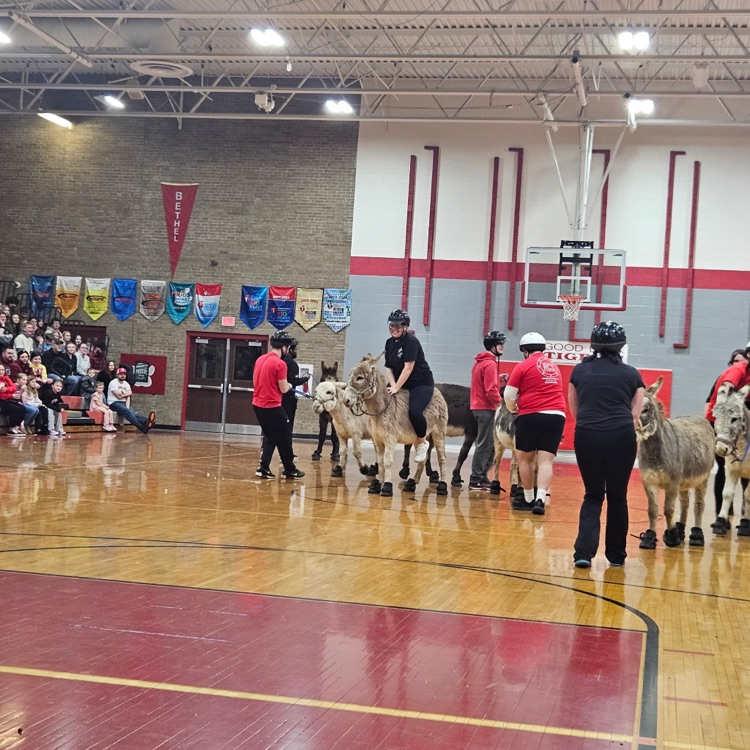 A BIG thank you to everyone who participated, helped with, and came out to our Donkey Basketball event for a fundraiser for BTMS students! The "excitement" of a pipe bursting in the office setting off the fire alarm could not stop the fun for long!😁💦