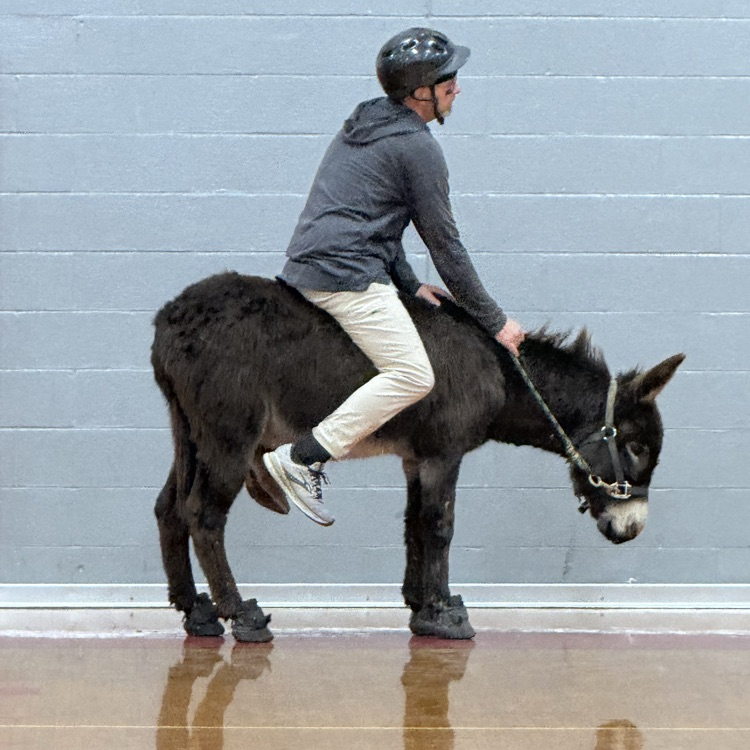 A BIG thank you to everyone who participated, helped with, and came out to our Donkey Basketball event for a fundraiser for BTMS students! The "excitement" of a pipe bursting in the office setting off the fire alarm could not stop the fun for long!😁💦