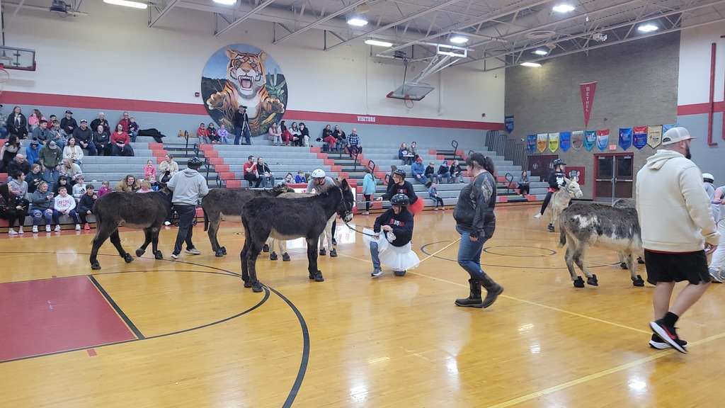 Donkey Basketball