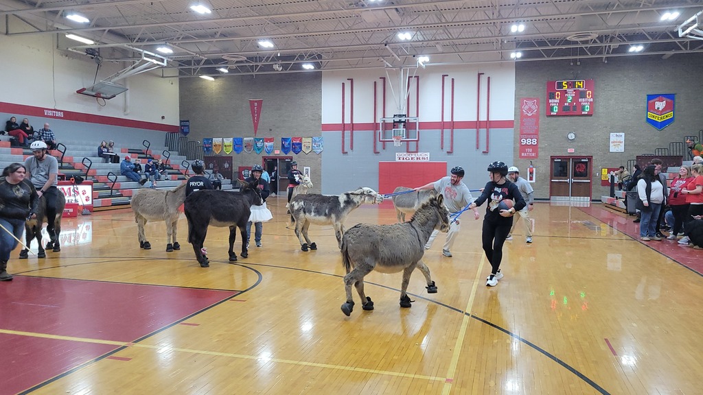 Donkey Basketball