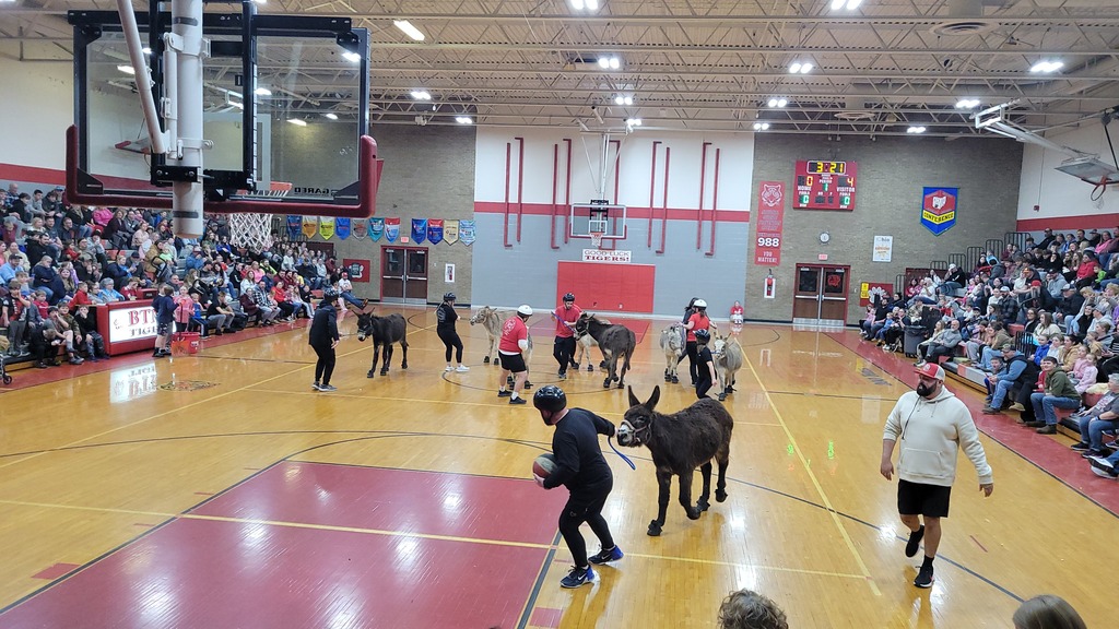 Donkey Basketball