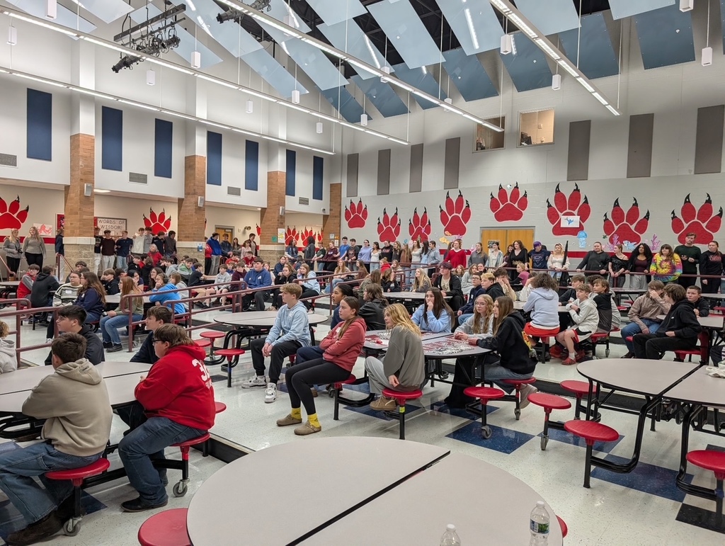 8th grade transition day at BTHS means all of the BTMS 8th graders visit for the day as shown in the picture